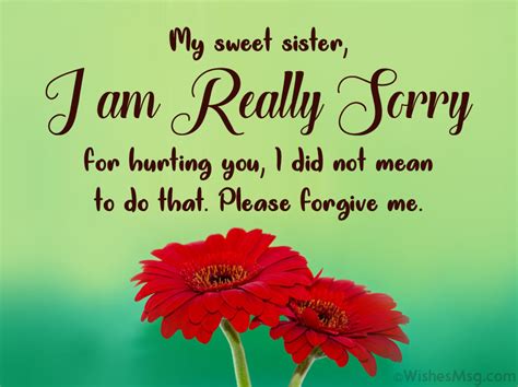 100+ Sorry Message for Sister: Heartfelt Apologies to Mend Bonds.